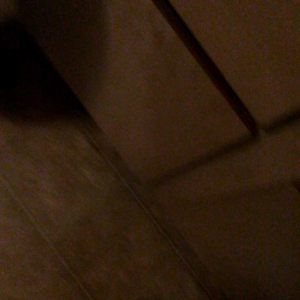 Meet your Posher, Christie